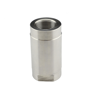 2Pc Spring vertical check valve